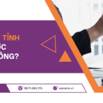 Xe ô tô biển tỉnh có cầm được ở Hà Nội không?